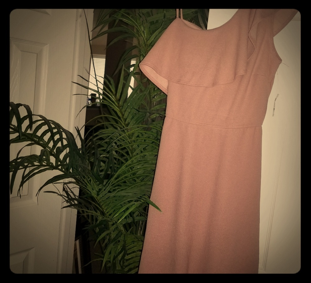 🍁NWT Pink Ruffle Top Flair Midi Dress